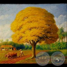 LAPACHO AMARILLO - Óleo de PABLO ALBORNO 